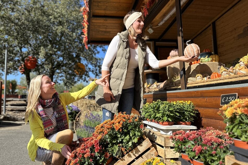 Dieser Herbstmarkt bei Dresden ist ein echter Geheimtipp