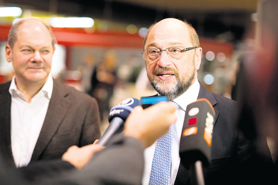 Schulz für Neuwahlen bei Jamaika-Pleite