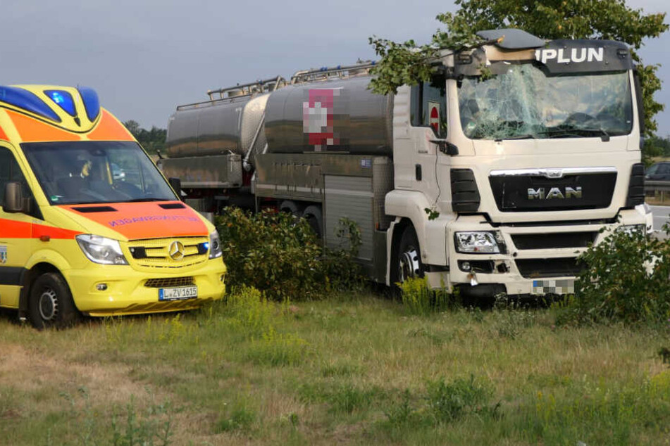 Am Rastplatz Muldental Nord kam der Milch-Laster von der A14 ab und mähte mehrere Schilder und Bäume um.