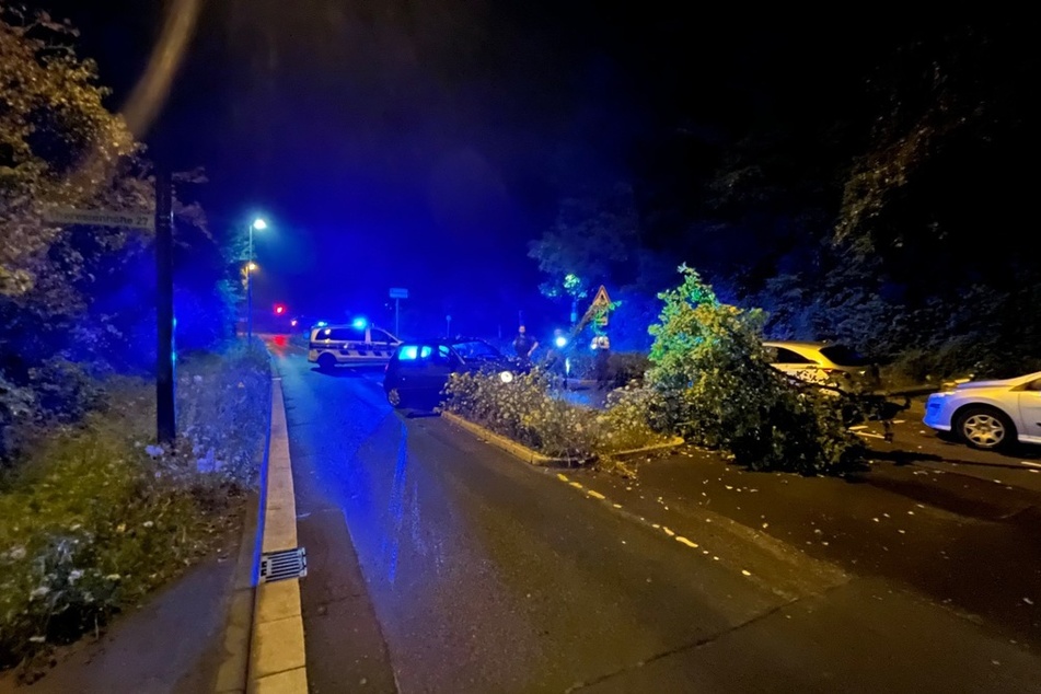 Der Baum versperrte nach dem Aufprall große Teile der Fahrbahn. Die Feuerwehr musste ausrücken, um sie wieder freizumachen.