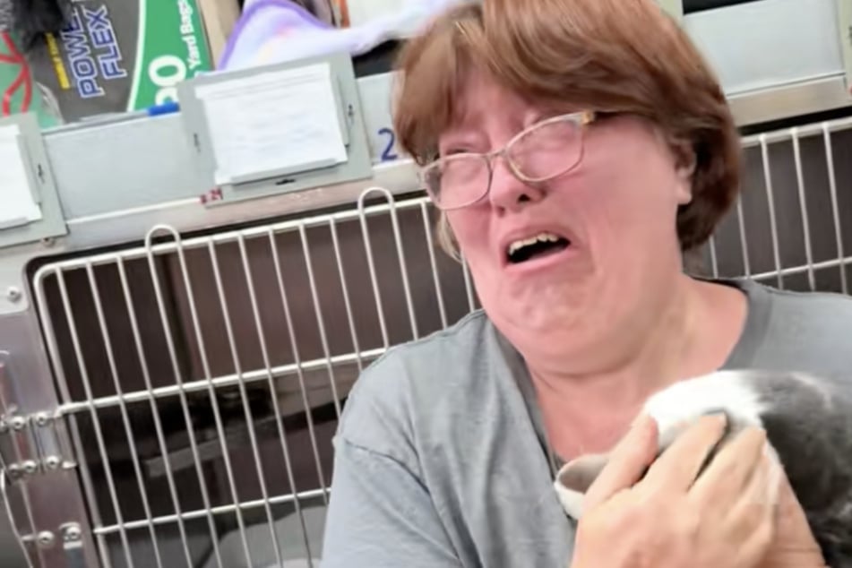 Als Frau diese Worte in einem Tierheim hört, muss sie sofort weinen