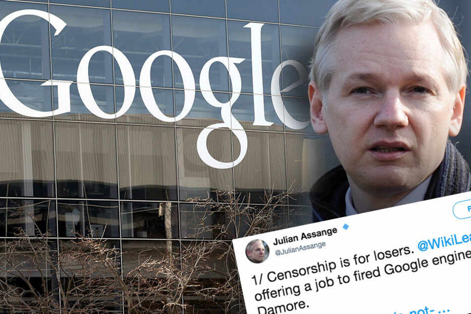 Google feuert Mitarbeiter wegen Manifest gegen Frauen: Dann bekommt er ein Jobangebot...