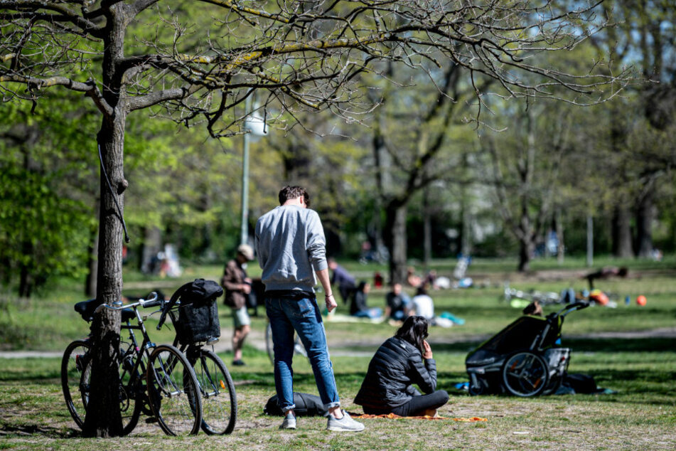 Menschen sitzen bei sonnigem Wetter auf der Wiese des Volksparks Hasenheide.