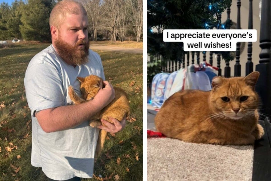 The family was horrified to see Hoss in this condition, but they immediately took the feline to the vet and the cat is now doing well again.