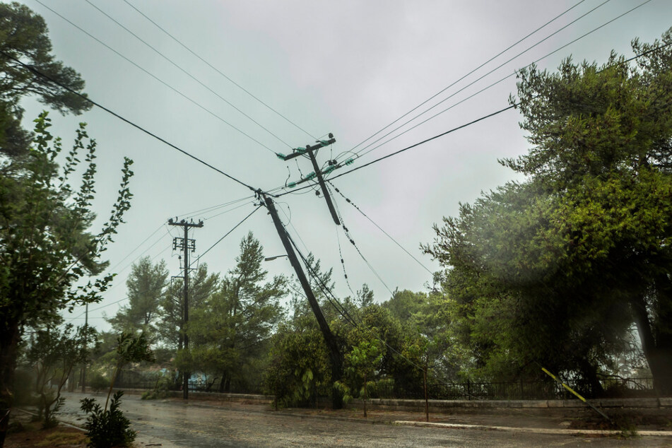 Bäume beschädigten die Strom- und Telekommunikationsleitungen in Kefalonia.
