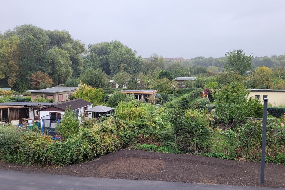 Der schon länger bestehende Kleingartenpark soll in den Parkbogen Ost eingebunden werden.