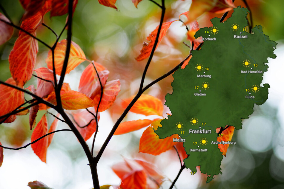 Goldener Herbst in Hessen am Wochenende, nur nachts kann's frostig werden