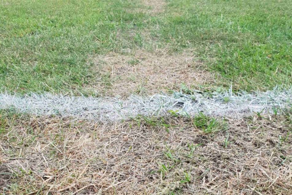Der Rasenplatz entspricht nicht den Anforderungen des HSV.