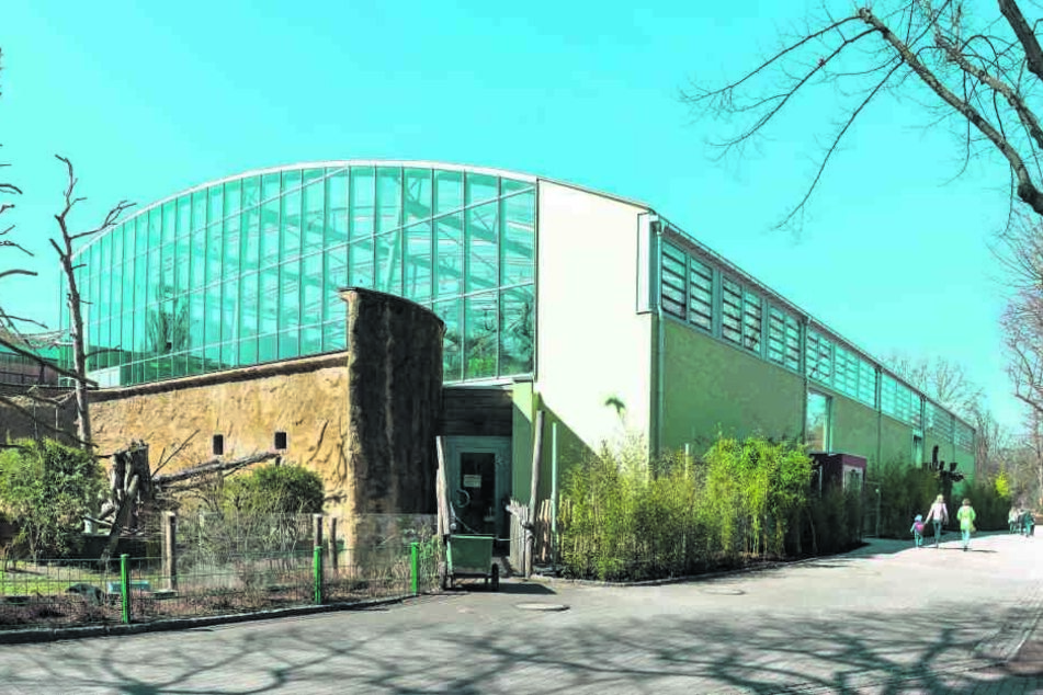 Neues Haus, bald auch neue Außenanlage: Das Afrikahaus eröffnet offiziell am 11. April.