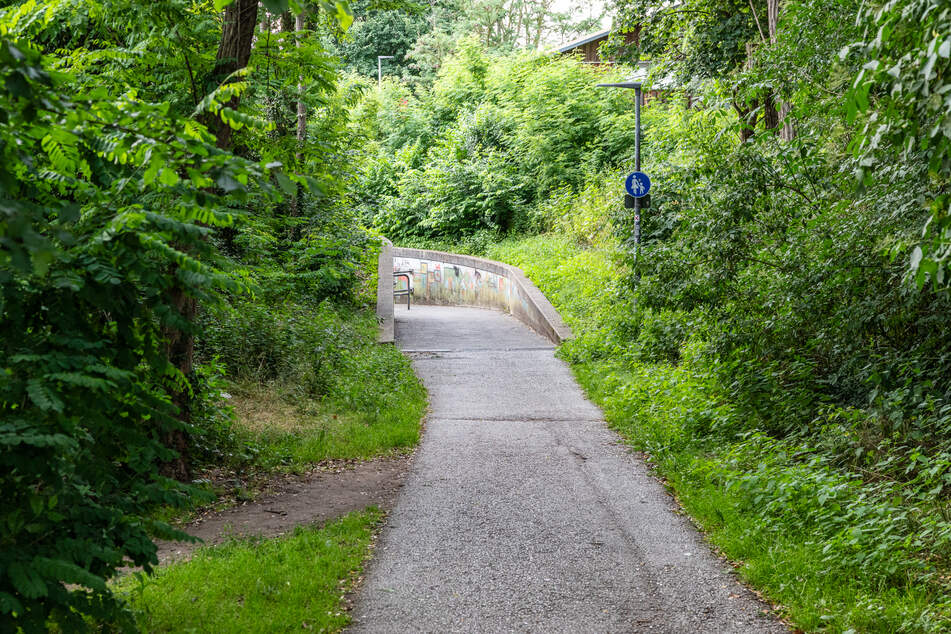 Auf diesem Radweg wurde die 60-jährige Frau nach aktuellen Erkenntnissen niedergestochen und erlag später ihren Verletzungen.