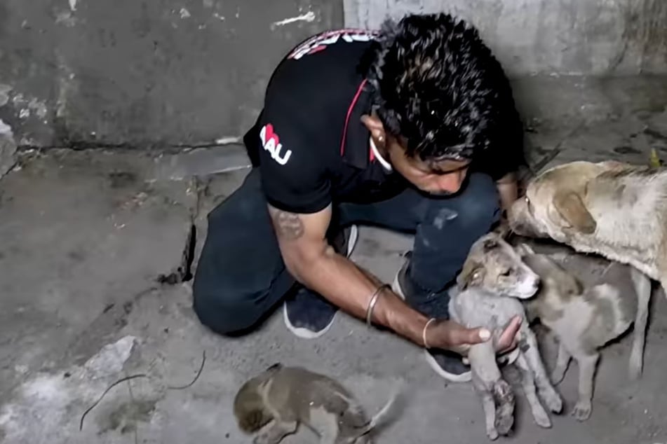 Tierschützer retten Welpen und erhalten ein besonderes Dankeschön von der Hunde-Mama