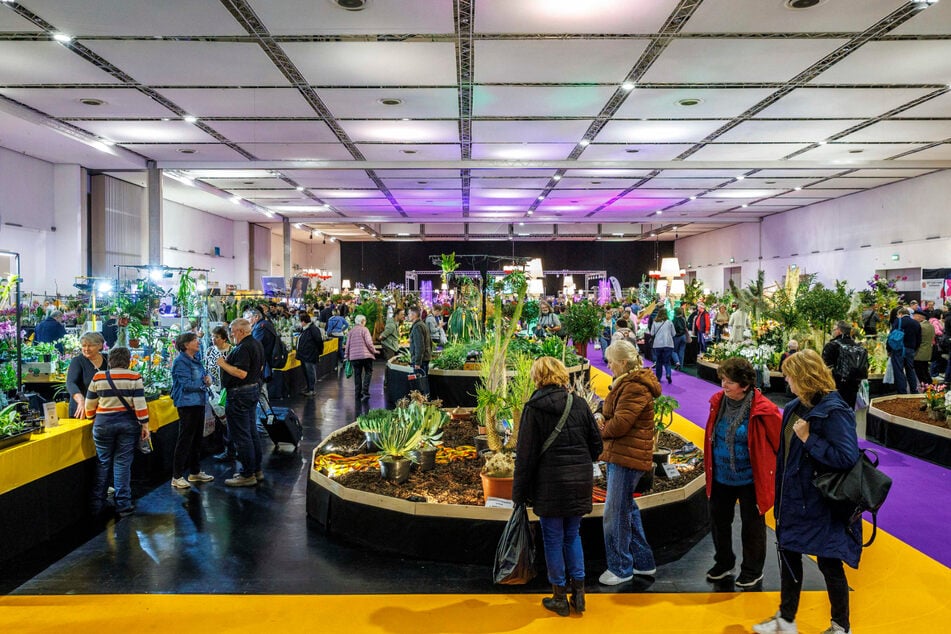 Die Orchideenschau ist seit Jahren ein Besuchermagnet der Messe.