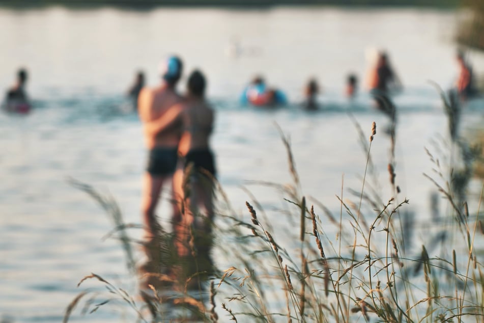 Mehrere Badegäste gerieten beim Abkühlen im Wasser in den blutigen Angriff. (Symbolfoto)