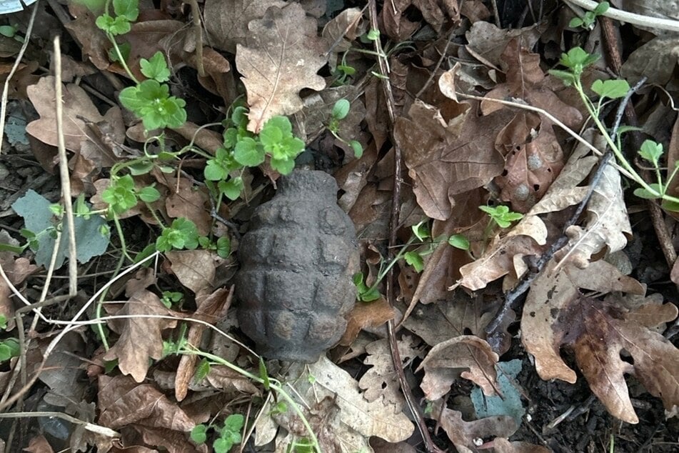 Diese leere Granate fanden Kinder in einem Wald in Kittlitz.