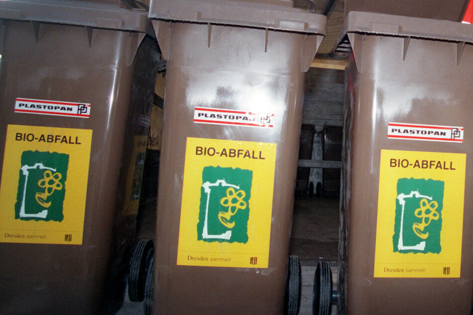 Kartoffelschalen hier rein? Das muss nicht sein!