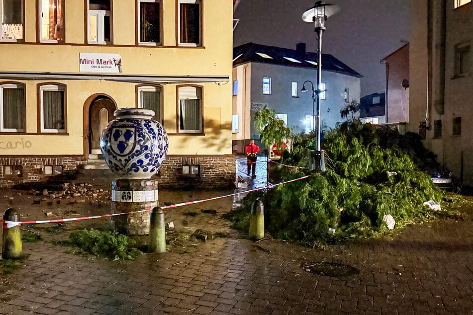 Auch zahlreiche Bäume stürzten bei dem Unwetter in Rheinland-Pfalz um.