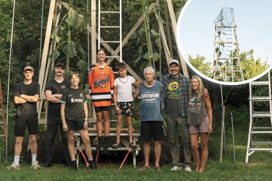 Alex Babich (47, 2.v.r.) steht mit seiner Familie am Fuße der riesigen Sonnenblume. Zu den Blüten gelangt der Züchter nur über ein Gerüst.