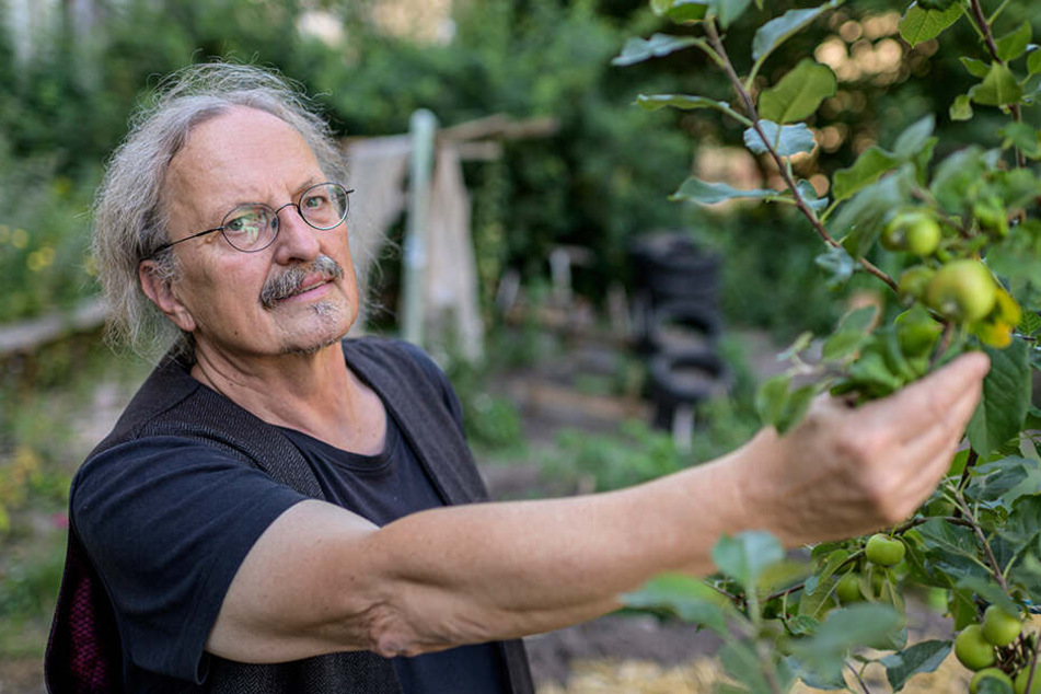 Manfred Hastedt (62), Leiter des Umweltzentrums, sieht im Klimawandel eine große Herausforderung für das Grün.