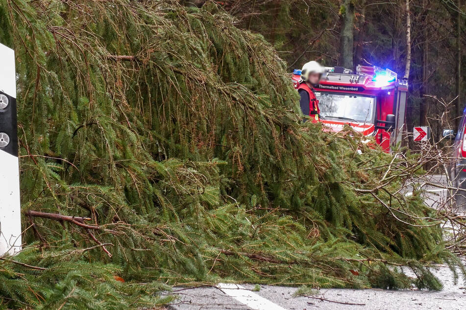 Durch den Sturm sind im Erzgebirge Bäume umgestürzt und haben Straßen blockiert.