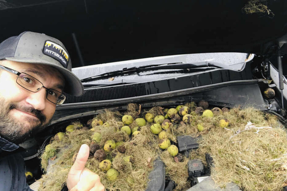 Chris Persic mit den Walnüssen in der Motorhaube.