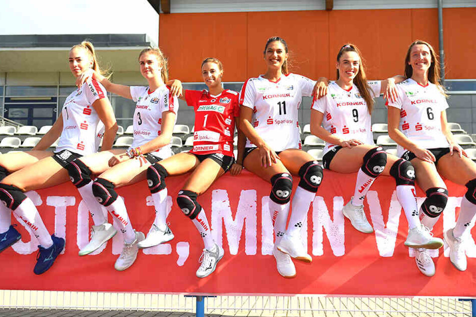 Sechs der sieben DSC-Neuzugänge. Im Sonnenschein von links: Laura de Zwart, Emma Cyris, Lenka Dürr, Milica Kubura, Lucija Mlinar und Kadie Rolfzen