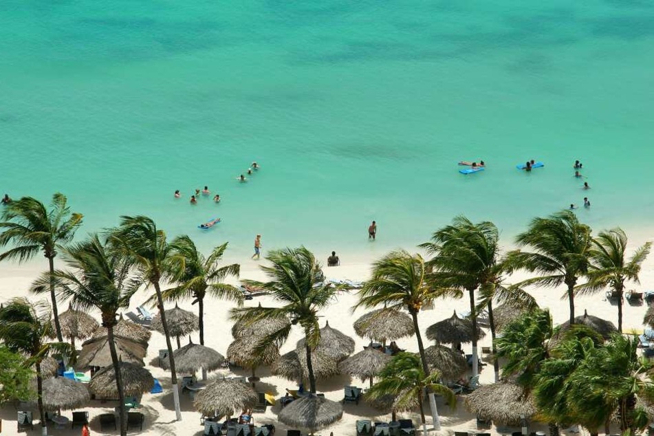 Aruba: das sind Palmen, weißer Strand und türkisfarbenes Meer.