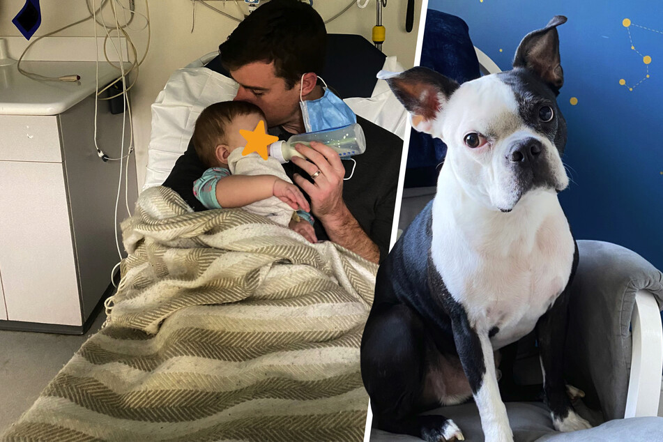 Hund bemerkt, dass mit Baby etwas nicht stimmt, und rettet ihm das Leben