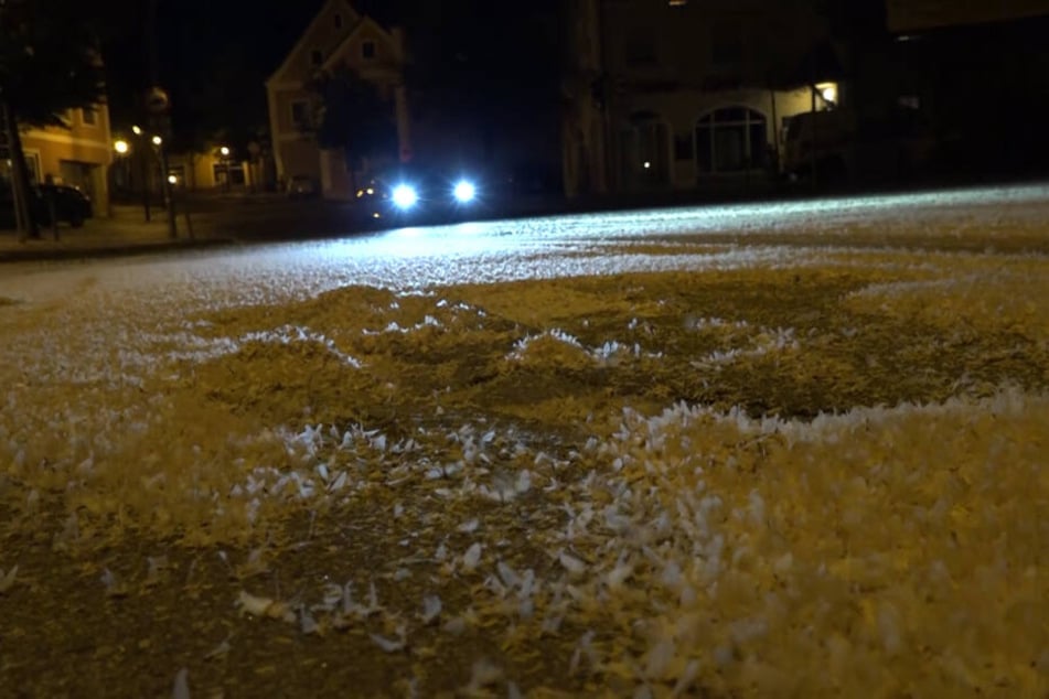 Die toten Insekten auf der Straße bilden eine rutschige Schicht.