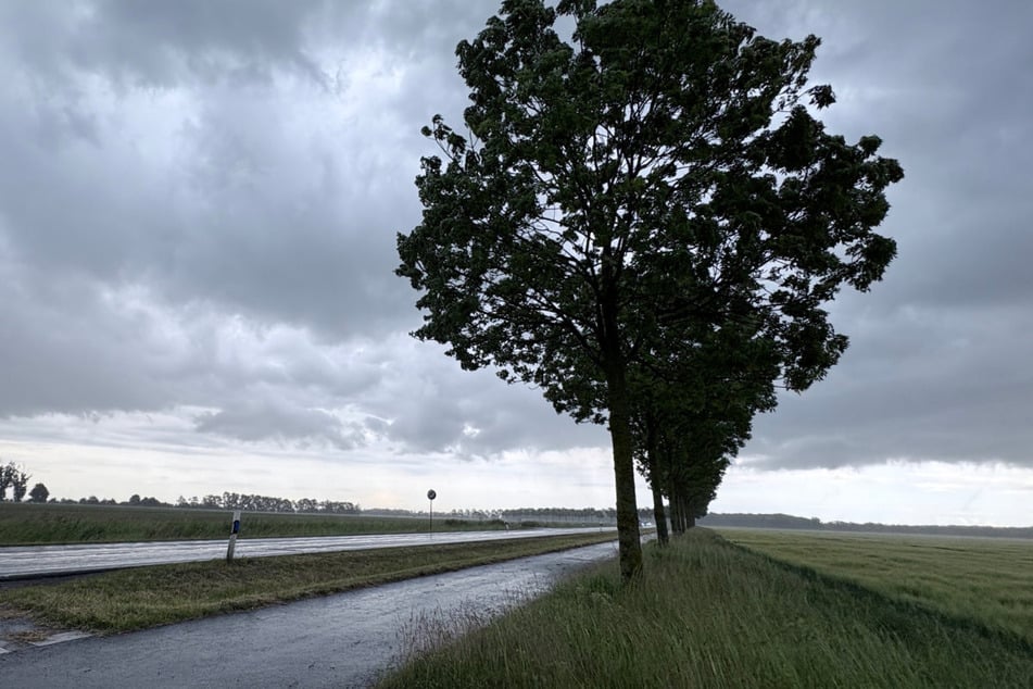Es bleibt weiterhin warm im Freistaat. Allerdings nicht mehr so heiß – und vor allem mischen sich jetzt starke Winde, Regen und Gewitter ein.