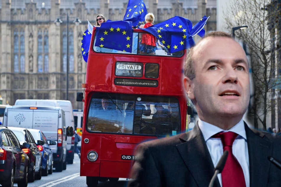 EU-Politiker Manfred Weber (CSU) schlägt vor sich an die Bürger zu wenden, wenn das Parlament scheitert. (Bildmontage)