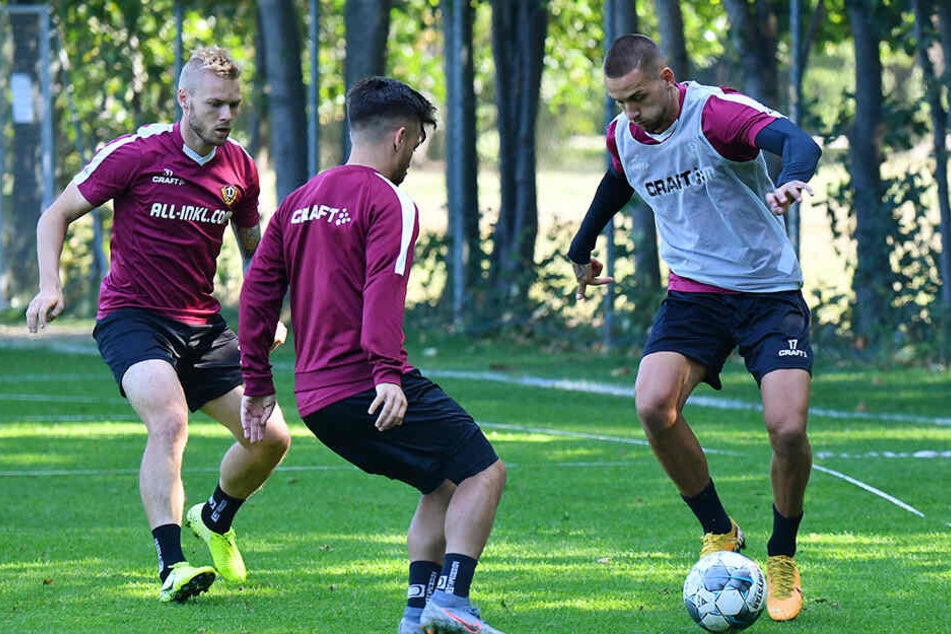 René Klingenburg (r.) im Training gegen Sascha Horvath.