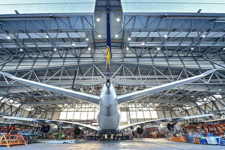 Bei den Elbe Flugzeugwerken in Dresden werden auch Jets gewartet - auch der Riesenvogel A380.