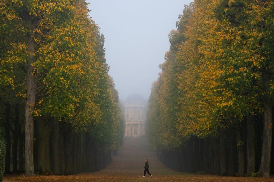 Eine graue Wolkendecke und örtlicher Nebel sorgen für trübes Herbstwetter. (Archivfoto)