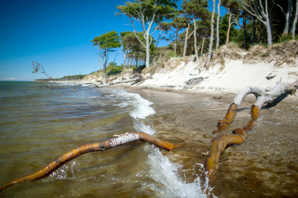 Die unbekannte Frauenleiche, die am Samstag aus der Ostsee vor Prerow geborgen wurde, ist noch immer nicht identifiziert.