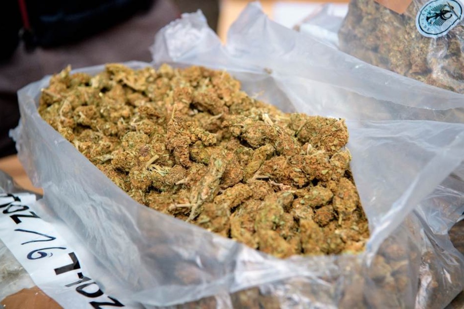 Die Einsatzkräfte fanden rund 360 Gramm abgeerntetes Marihuana. (Symbolbild)