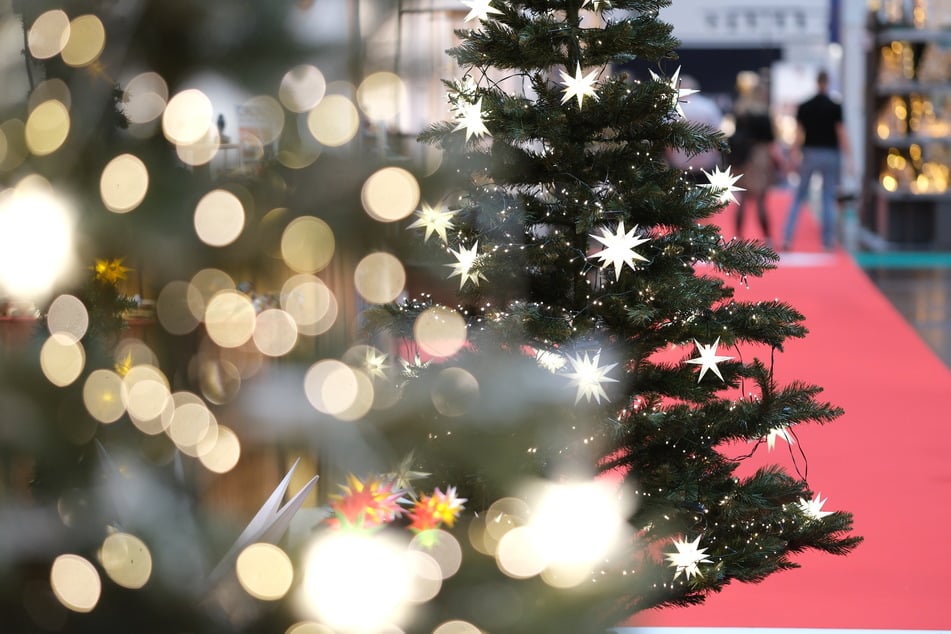 Für Weihnachtsbäume muss in diesem Jahr mehr bezahlt werden, weil die Kosten für Erzeuger gestiegen sind.