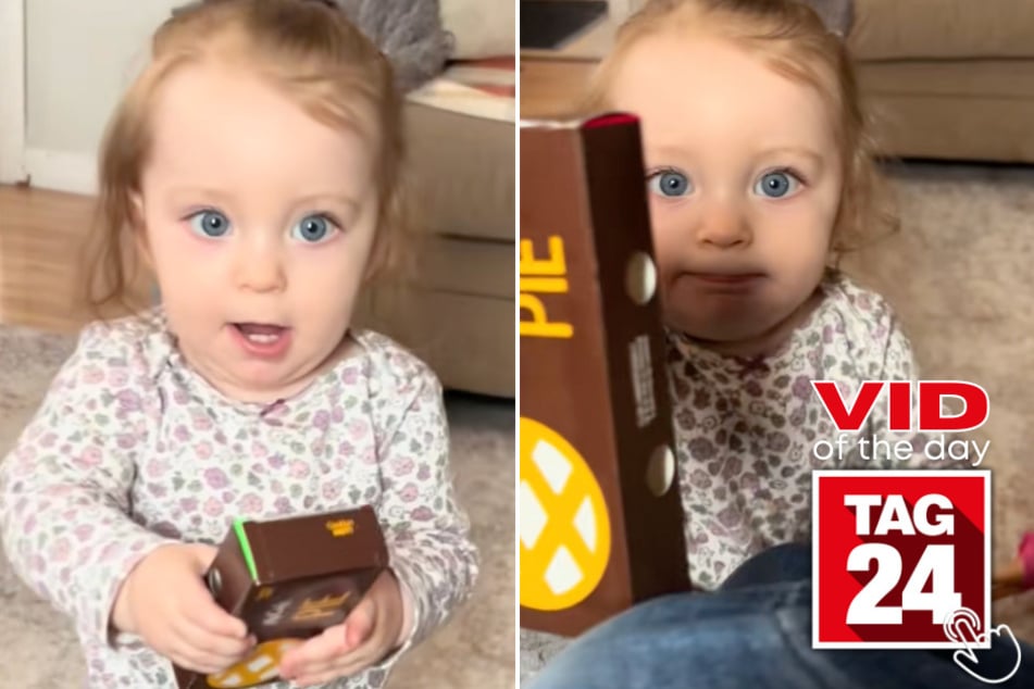 When mom says no to McDonald's pie, this toddler's reaction is priceless!