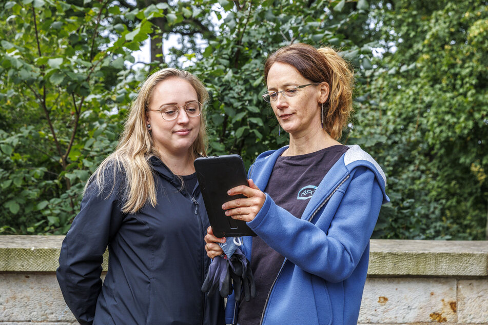 Infektionsschutz-Leiterin Marie-Luise Buder (34) und APC-Biologin Judith Auer (49, r.) sind gespannt, ob auch die anderen Fallen in der Neustadt Tigermücken-frei sind.