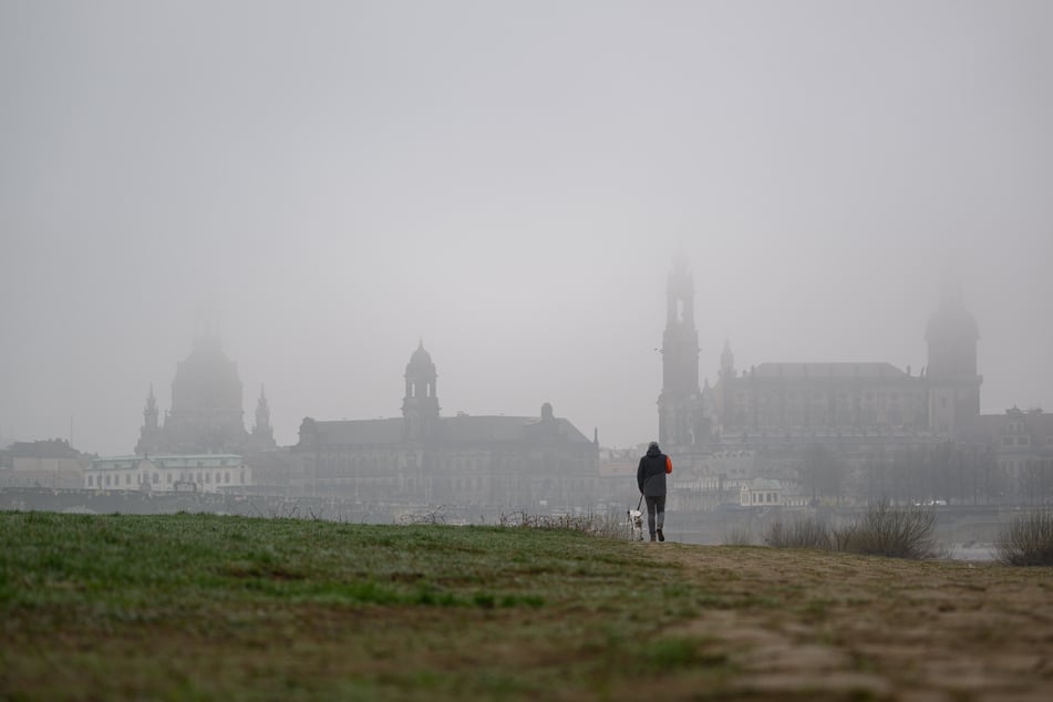 In den Morgenstunden hängen dichte Nebelfelder über dem Freistaat, wie hier in Dresden. (Archivbild)