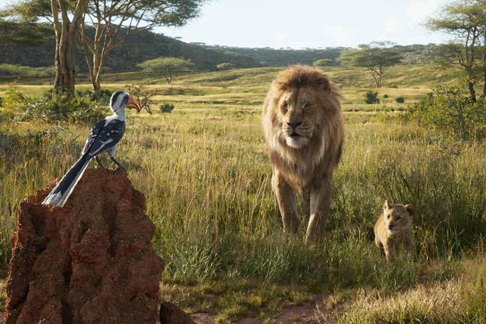 Mufasa (M.) bringt seinem Sohn und Erben Simba (r.) mit der Hilfe vom Rotschnabeltoko Zazu einiges bei.