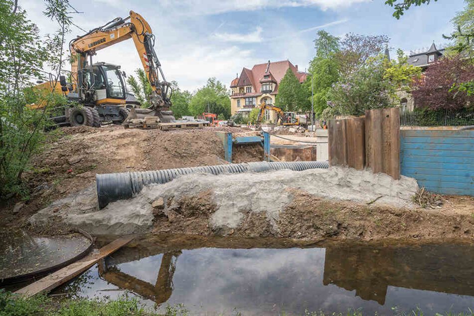Der Kaitzbach ist momentan fast ausgetrocknet, eigentlich fließt er während der Bauarbeiten durch das schwarze Rohr.