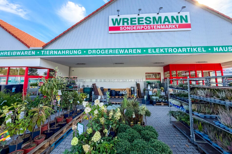Diese Highlights von Wreesmann dürfen für den Herbst nicht fehlen