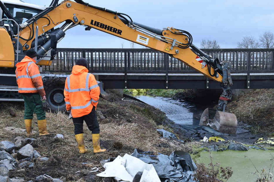 Um die Tiere zu schützen, wurde am Dienstag ein neuer Otter-Laufsteg - genannt Berme - an der Bundesstraße B96 bei Groß Machnow übergeben.