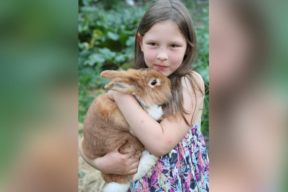 Töchterchen Tamara (8) mit einem süßen Fellknäuel von Karnickel. Die Adams züchten auch seltene Haustierrassen.
