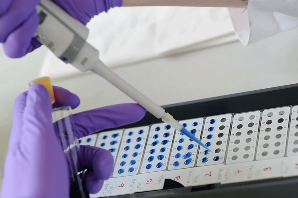So schlimm wie derzeit soll das Virus in Sri Lanka noch nie gewütet haben (Symbolbild).