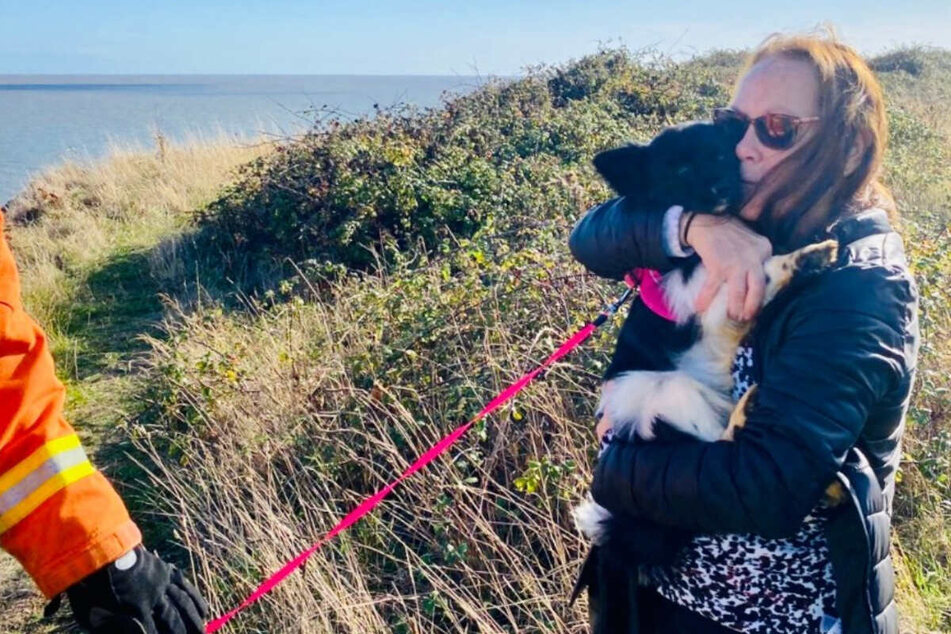 Bonnie reunited with her owner after falling off a cliff on Monday.