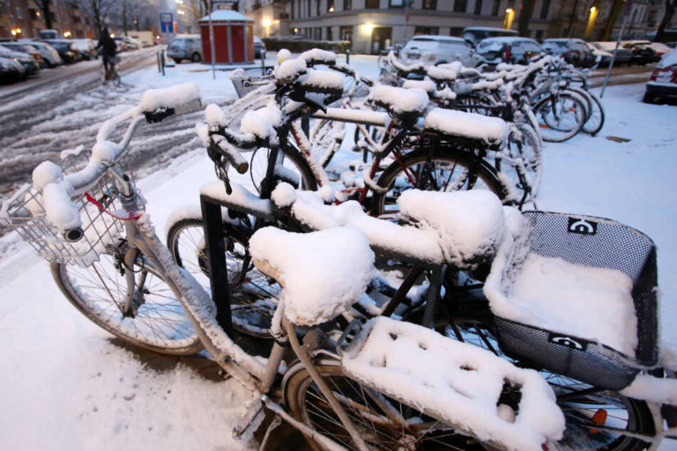 Im März lag in Hamburg noch Schnee. In der kommenden Woche könnte es wieder so weit sein.