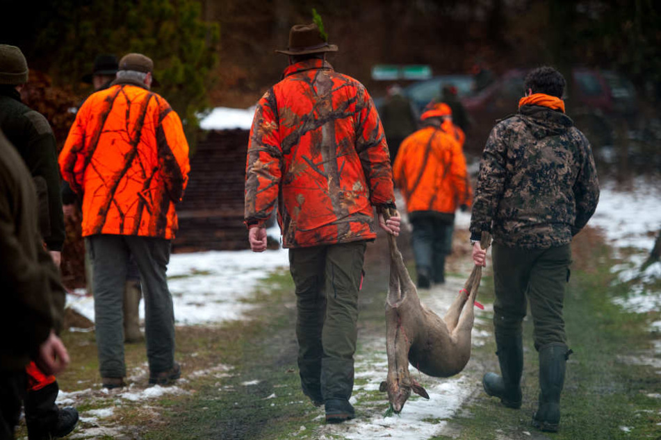 Die Jagd muss in den betroffenen Regionen verstärkt werden, um den Wald zu schützen (Archivbild)