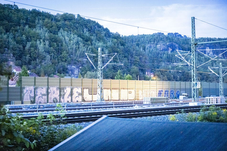 Um diese Graffiti am Güterbahnhof von Bad Schandau soll es gehen.
