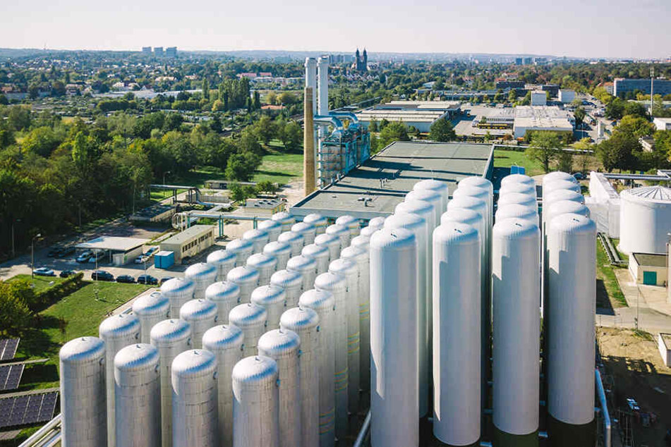 Auf der Freifläche rechts im Bild soll am Reicker DREWAG-Standort ein neues Kraftwerk gebaut werden.
